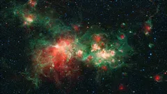 James Webb-teleskopet avslöjade för första gången dolda kosmiska objekt i W51